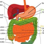 GIST緩和ケアセンター