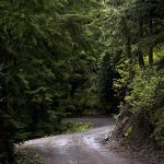 がん患者の花粉症対策