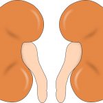 腎不全末期の緩和ケアをどう受けるか？