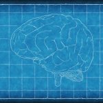 くも膜下出血・脳卒中（脳梗塞・脳出血）と緩和ケア