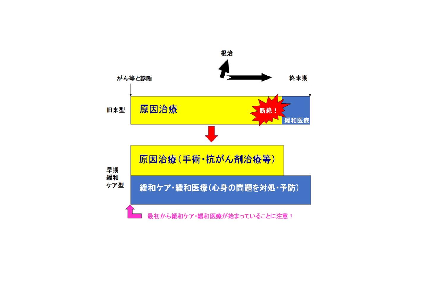 早期からの緩和ケア新　大津秀一クリニック
