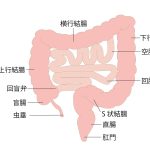 大腸がんのつらさと不安──腸閉塞への恐れと、緩和ケアでできる支え